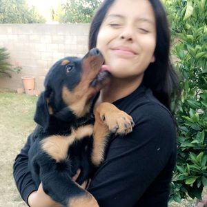 Meet your Posher, Brenda